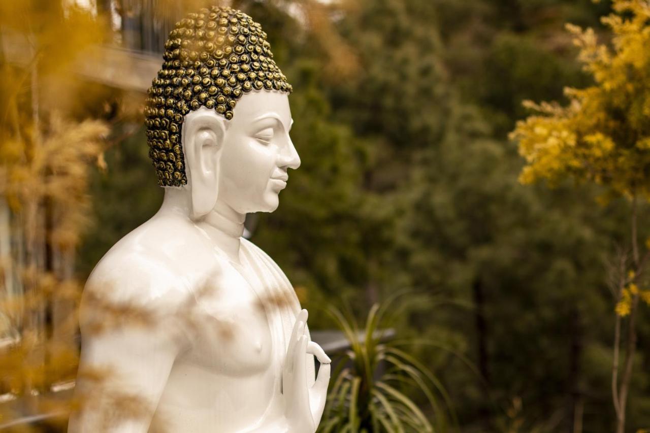 Golden Fern Resort Shimla Ngoại thất bức ảnh